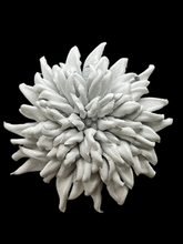 Load image into Gallery viewer, “ARCTIC CROWN” BROOCH