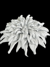 Load image into Gallery viewer, “ARCTIC CROWN” BROOCH