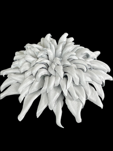 “ARCTIC CROWN” BROOCH