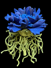 Load image into Gallery viewer, “VELVET STORM” cornflower