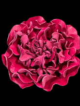 Load image into Gallery viewer, “VELVET PEONY” BROOCH