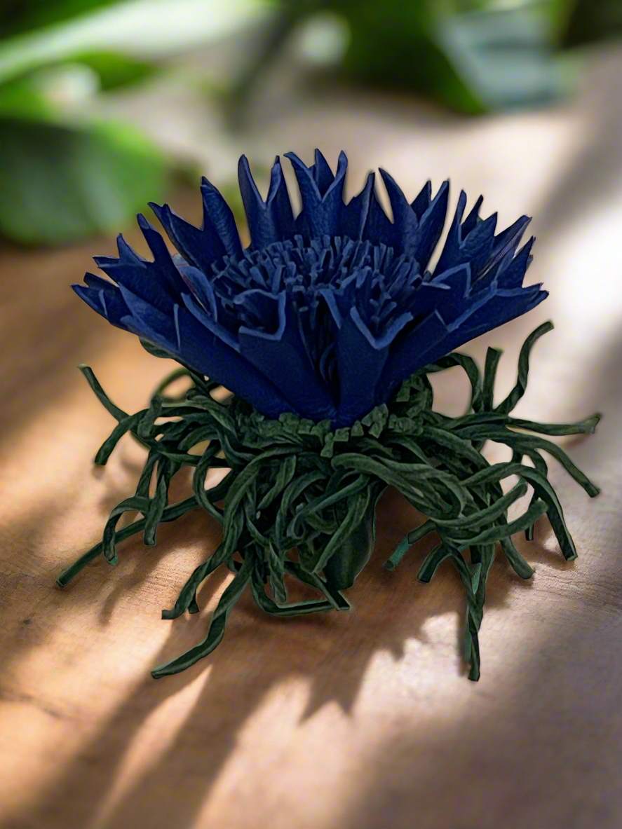 “SAPPHIRE BLOOM” BROOCH