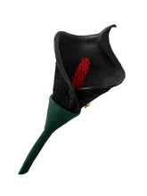 Load image into Gallery viewer, Black Calla Lily – Crimson Elegance