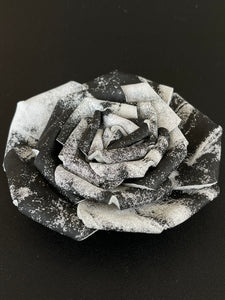 “DIVINE CONTRAST” ROSE