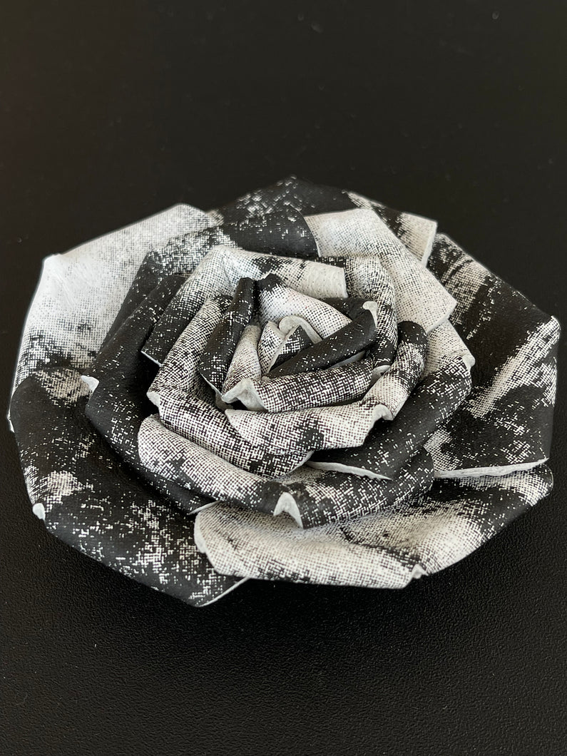 “DIVINE CONTRAST” ROSE