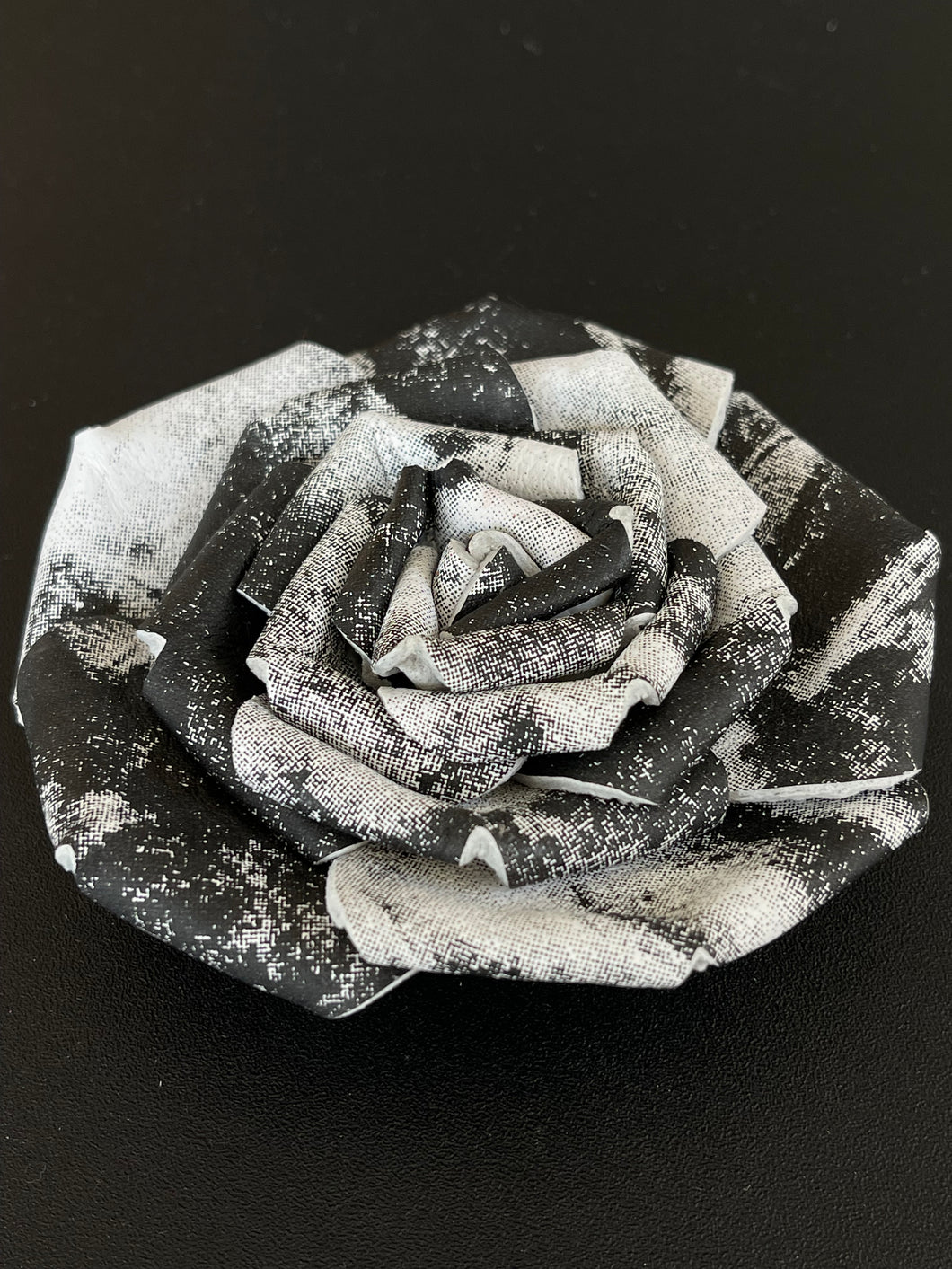 “DIVINE CONTRAST” ROSE