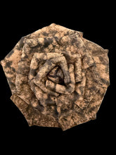 Load image into Gallery viewer, Timeworn Rose Leather Flower Brooch
