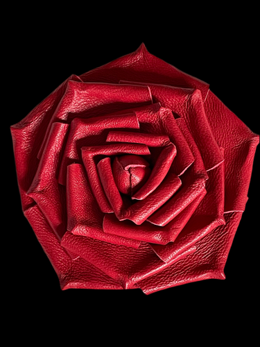 «ROUGE MAJESTY» rose