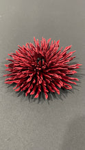 Load image into Gallery viewer, “GARNET THORN” ASTER