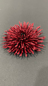 “GARNET THORN” ASTER
