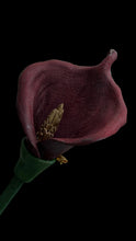 Load image into Gallery viewer, Dark Cherry Calla Lily Leather Brooch – Sculptural Floral Statement Pin