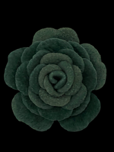 Load image into Gallery viewer, CAMELLIA BROOCH