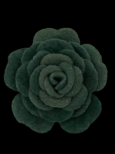 CAMELLIA BROOCH