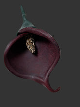 Load image into Gallery viewer, Velvet Nocturne Calla – Handmade Dark Cherry Leather Flower Brooch