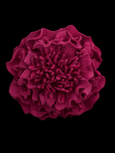 Load image into Gallery viewer, “PINK RHAPSODY” peony brooch