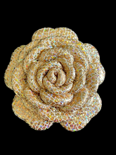 Load image into Gallery viewer, “GOLDEN STARDUST” camellia