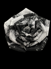 Load image into Gallery viewer, “DIVINE CONTRAST” ROSE