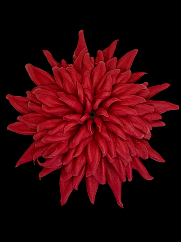 “RUBY GARDEN” BROOCH