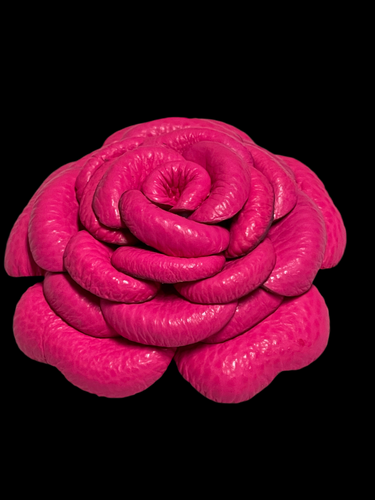 «FLAMINGO REBEL» camellia