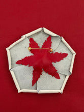 Load image into Gallery viewer, “Liberty Rose — America 250”🌹🇺🇸