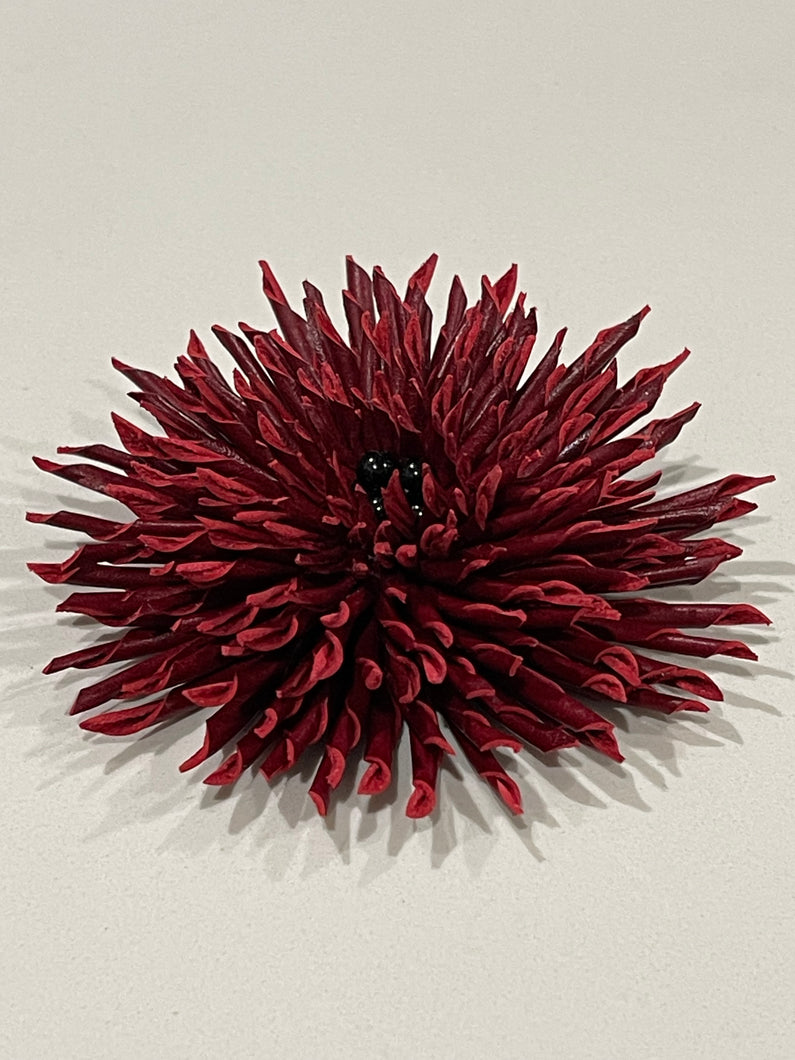 “GARNET THORN” ASTER