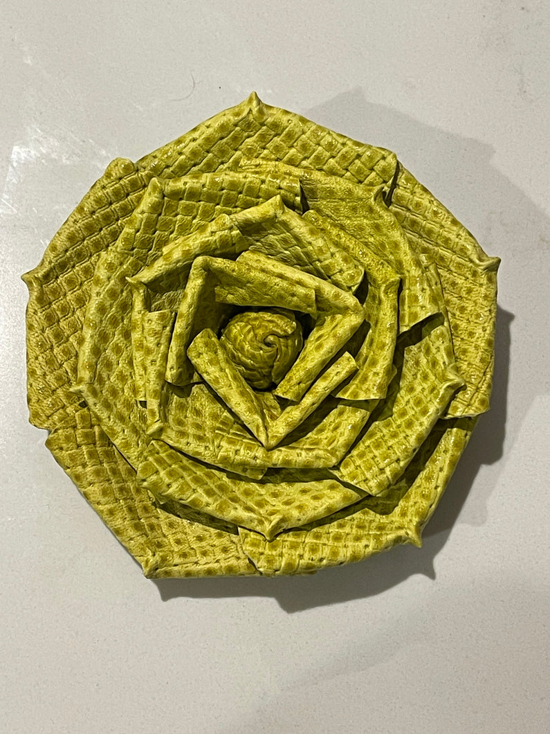 “LIME WHISPER” ROSE