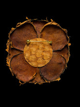 Load image into Gallery viewer, “COGNAC BLOOM” CAMELLIA