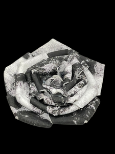 “DIVINE CONTRAST” ROSE