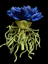 Load image into Gallery viewer, “VELVET STORM” cornflower