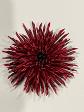 Load image into Gallery viewer, “GARNET THORN” ASTER