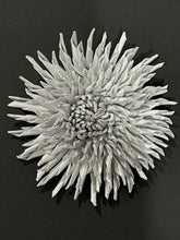 Load image into Gallery viewer, “PEARL THORN” ASTER