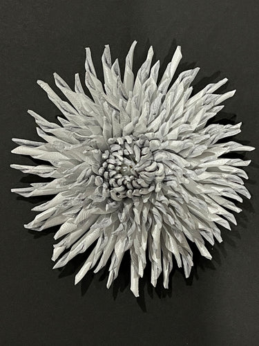 “PEARL THORN” ASTER