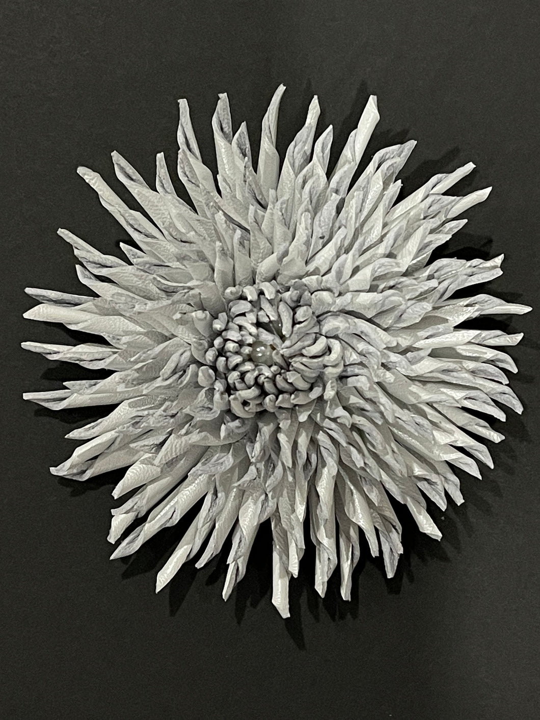 “PEARL THORN” ASTER