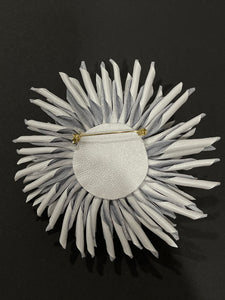“PEARL THORN” ASTER