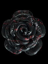 Load image into Gallery viewer, “CRIMSON NOIR” CAMELLIA