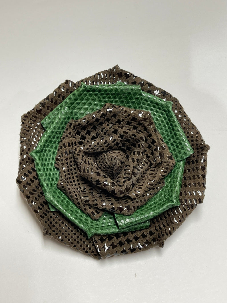 “ACORN BLOOM” ROSE