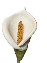 Load image into Gallery viewer, Calla Whisper Leather Brooch