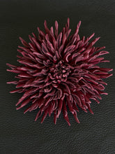 Load image into Gallery viewer, Deep Burgundy Needle Aster