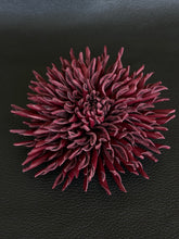 Load image into Gallery viewer, Deep Burgundy Needle Aster